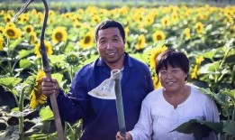 我是农民在线观看,我是农民的在线农业生活纪实